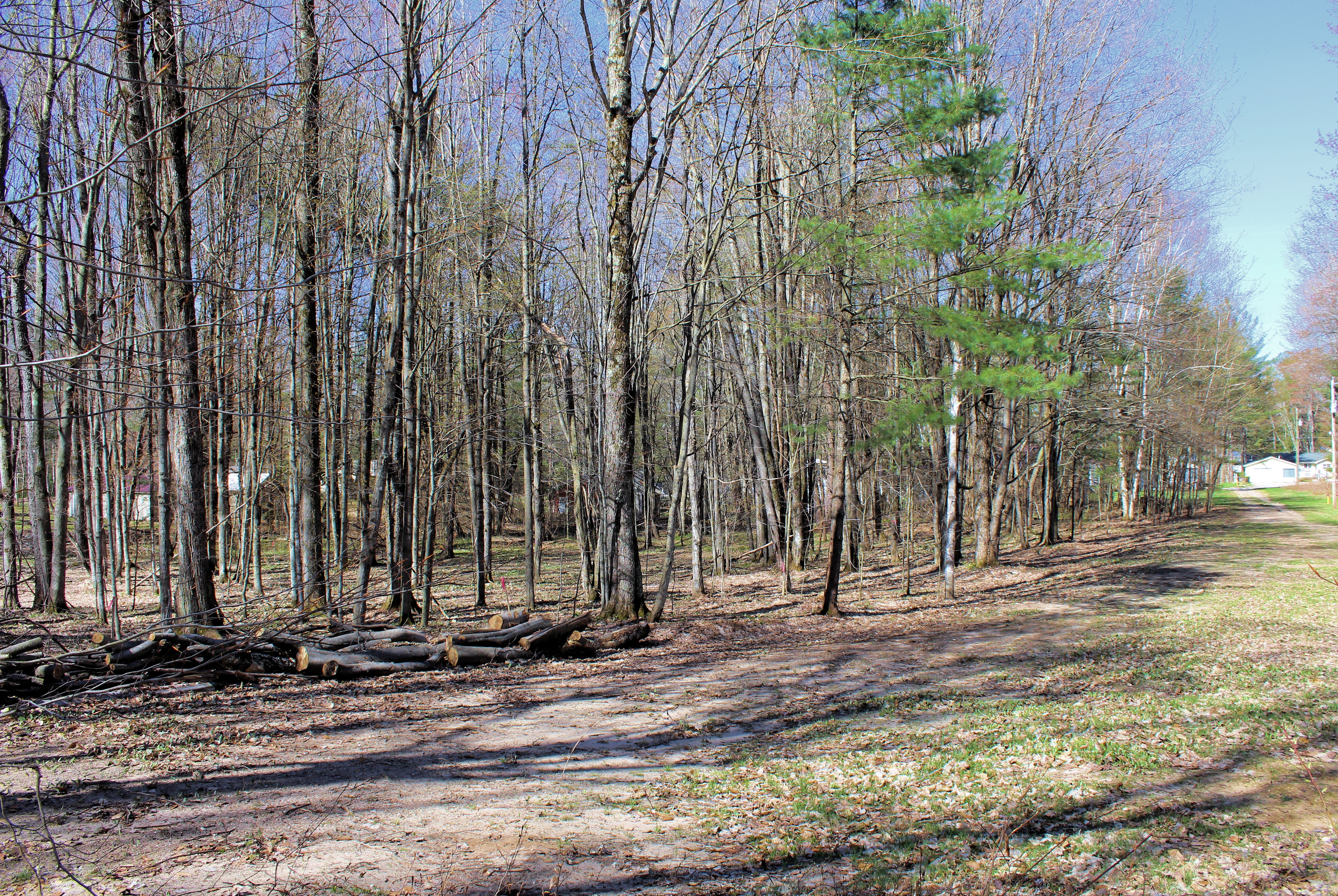 00 Chwastek Rd NE Kalkaska